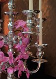 Carpe Diem Floristik Dekoration Hochzeit Wuppertal